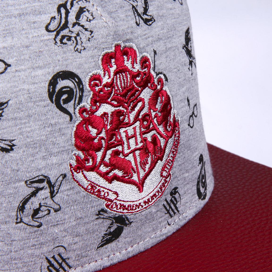 Harry Potter Snapback