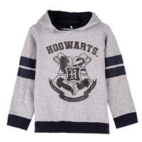 Harry Potter Kapuzenpullover