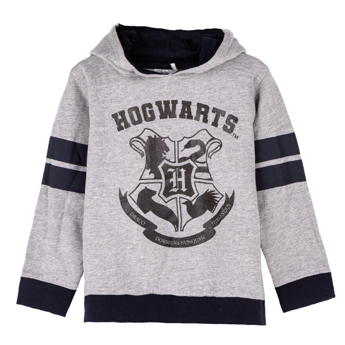 Harry Potter Kapuzenpullover
