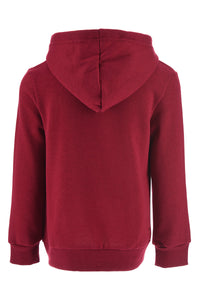 Harry Potter Kapuzenpullover