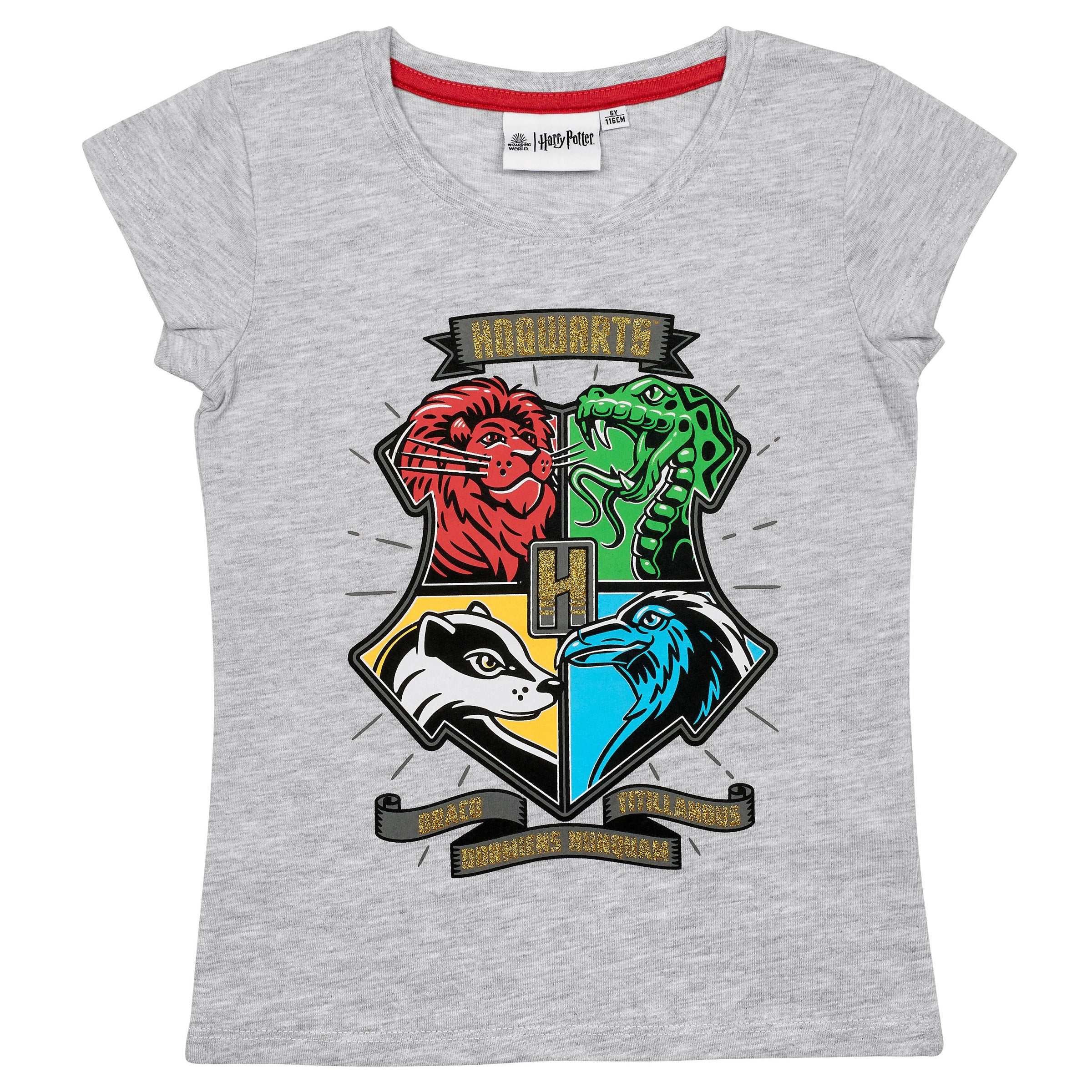 Harry Potter T-Shirt